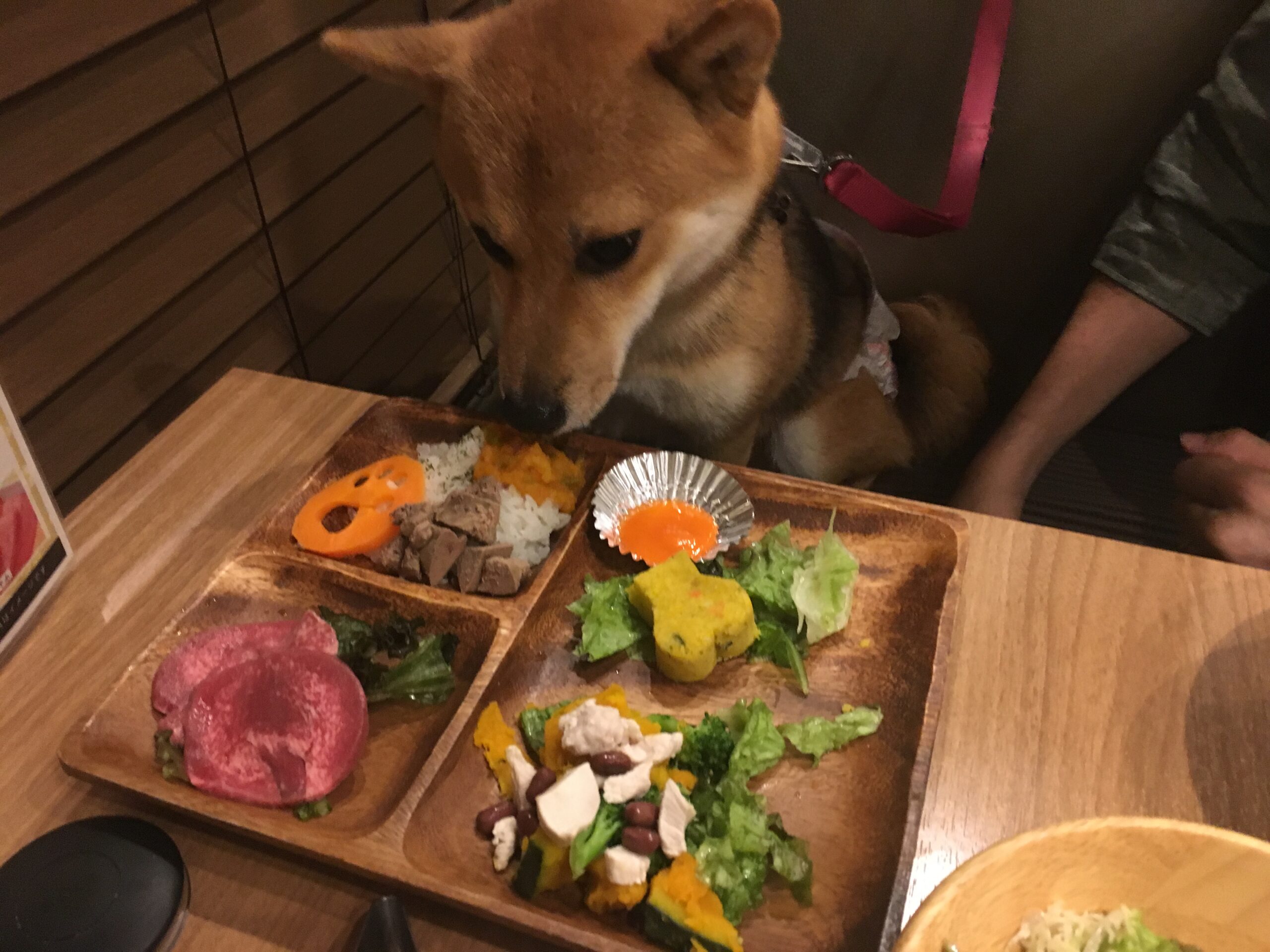 ペットと一緒に焼き肉が食べられるお店 うしすけ ごま柴さんぽ