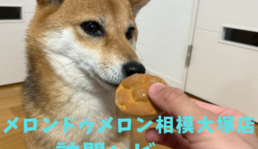 【愛犬用メロンパン？】メロンドゥメロン相模大塚店 訪問レポート！