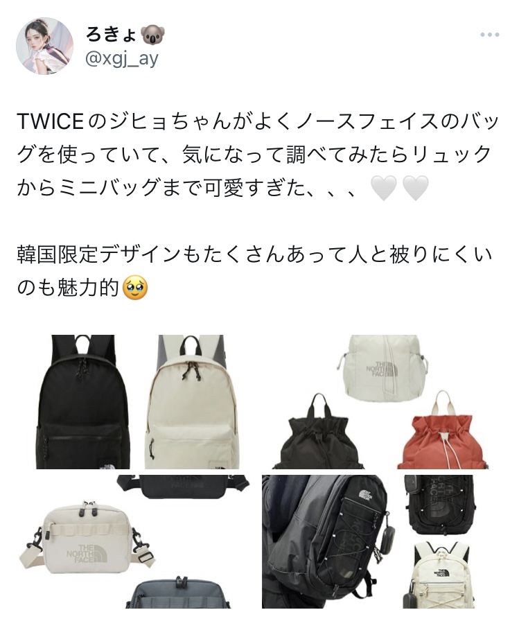 TWICEのジョヒも御用達の韓国限定ノースフェイスバッグ